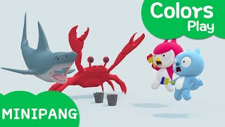 Learn colors with Miniforce  Painting  Drawing  Shark  Crab  Color play  MiniPang TV 3D Play [upl. by Spalding549]