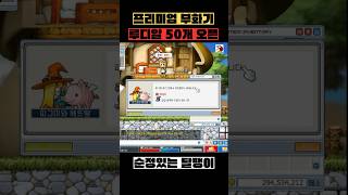 프리미엄 부화기 루디브리엄 알 50개 까기  빅뱅전옛날메이플 [upl. by Alleras63]