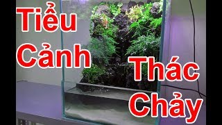 Hướng dẫn làm tiểu cảnh thác nước  AquaTerrarium Making a forest with a waterfall [upl. by Gisele]