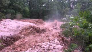 Palenville Pine Grove swimming hole during Hurricane Irene [upl. by Gwenneth509]