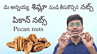 Pecan nuts health benifits in telugu  పికాన్ నట్స్ తినడం వల్ల ఉపయోగాలు  pecan uses [upl. by Enomsed]