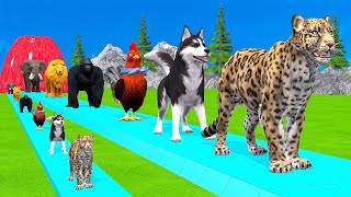 Paint amp Animals CowGorrilaElephantSheepDeerTiger Fountain Crossing Transformation Cartoon [upl. by Nosrac]