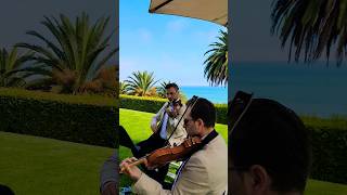 Enchanted Taylor Swift  Enchanted String Quartet in Malibu taylorswift wedding [upl. by Kinghorn]