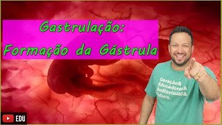 Gastrulação Formação da Gástrula  Embriologia  Aula 5 [upl. by Annekim57]