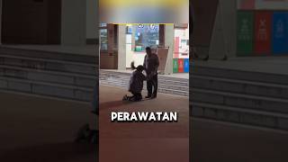 Permohonan Sang Putri Agar Ayahnya Mau Dirawat di Rumah Sakit [upl. by Niarfe868]