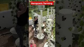 Aeroponic vertical farming 🌱 aeroponics towergarden verticalfarming support garden ngo shorts [upl. by Dewar944]