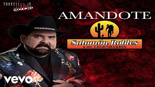 Salomón Robles Y Sus Legendarios  Amándote [upl. by Kamilah]