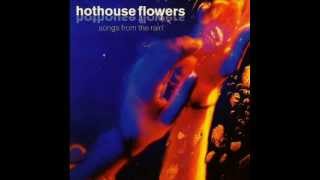 Hothouse Flowers  Stand Beside Me [upl. by Aiyt]