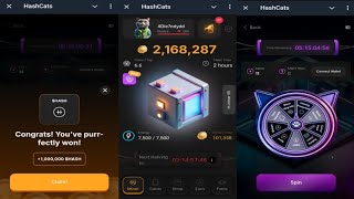 HashCats  New Feature Helps You Earn More HASH Coins Faster  Come Join Me  Telegram Crypto Bot [upl. by Averell]