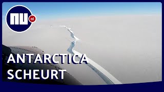 IJsschots zo groot als provincie Utrecht breekt af van Antarctica  NUnl [upl. by Champagne]