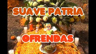 SUAVE PATRIA OFRENDAS DIA DE MUERTOS [upl. by Judye264]