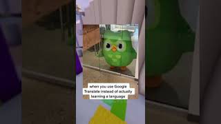 DUOLINGO MEMES [upl. by Razid884]