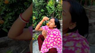 নিশিতা লোকের বাড়ির গাছ থেকে লেবু চুরি করলো 😛😁shorts minivlog [upl. by Ebba]