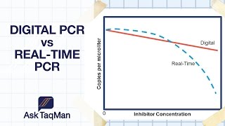 Digital PCR vs Realtime PCR  Ask TaqMan 30 [upl. by Anelaf]