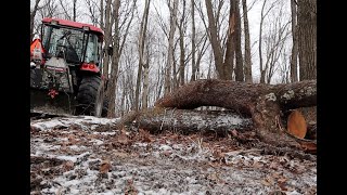 676 Steep Slope Cherry Wood Retrieval Wallenstein Skidding Winch for the Win [upl. by Vardon]