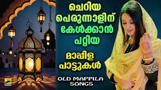 ചെറിയ പെരുന്നാൾ പാട്ടുകൾ  Cheriya Perunnal Song  Eid Song 2024  cheriya perunnal pattukal 2024 [upl. by Myrtle]