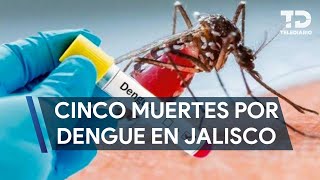 Suman cinco muertes por dengue en Jalisco [upl. by Schumer]