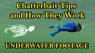 Chatterbait Fishing Lure Tips and How They Work Underwater Underwater Bass Fishing Lures [upl. by Ettevahs]