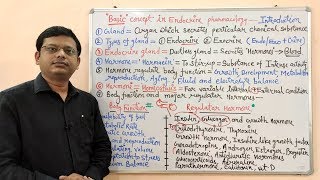 Endocrine Gland Part 01  Basic Concept in Endocrine Pharmacology  Endocrine Pharmacology [upl. by Nobile784]