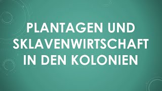 Plantagen und Sklavenwirtschaft in den Kolonien einfach und kurz erklärt [upl. by Etnasa]