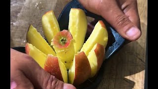 ASMR 🎤 SATISFYING HEALTHY FRUITS CUTTING SHOW 🍌🥦 [upl. by Anaicul]