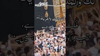 labbaik allah humma labbaik Bakra eid🐏🐑islam explore islamiczamiya01 [upl. by Winters]