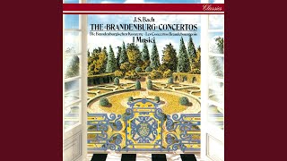 JS Bach Brandenburg Concerto No 6 in B flat BWV 1051 3 Allegro [upl. by Remas271]