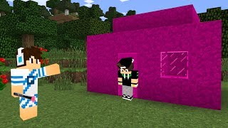 TROLLEI MEU AMIGO PINTANDO A CASA DELE DE ROSA no MINECRAFT [upl. by Renrut815]