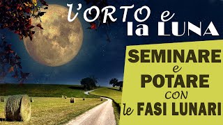 LORTO e la LUNA  SEMINA E POTATURA seguendo il CALENDARIO LUNARE [upl. by Nerac391]