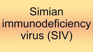 Simian Immunodeficiency Virus SIV Pronunciation  How to Say  How to Pronounce [upl. by Aelc]