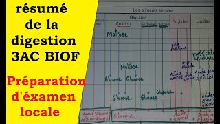 Meilleur résumé de la digestion 3AC Biof  préparation dexamen [upl. by Iona]