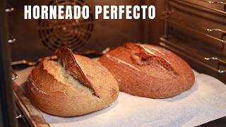 El horneado PERFECTO en horno de casa [upl. by Byers]