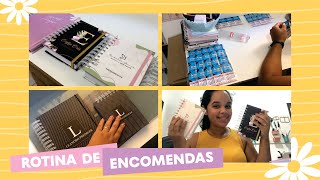 Produção de Um Dia  Mini Agendas Fofas  Larissa Luz [upl. by Tija96]