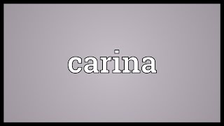 Carina Meaning [upl. by Julieta]