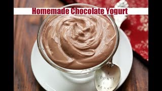 Homemade Chocolate Yogurt [upl. by Zap]