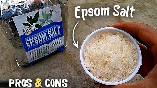 9 Amazing Epsom Salt Benefits For Plants Use This Way [upl. by Ayalat]