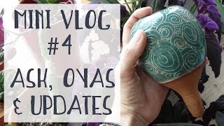 Minivlog 4  Ask Oyas Updates plantaddict  Concours sur Instagram [upl. by Okramed]