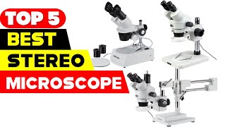 Top 5 Best Stereo Microscopes Reviews of 2024 [upl. by Nnylahs833]