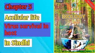 how viruses survive inside the host cell class 11 biology Sindh board [upl. by Livi]