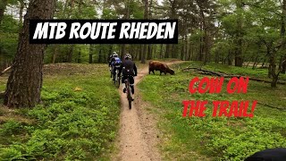 MTB route Rheden 2023  Veluwezoom [upl. by Ordnaxela836]