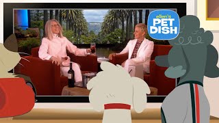 Ellen’s Pet Dish with Diane Keaton [upl. by Natanoj]