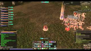 Lineage 2 Classic RU official  Gran Kain  AOE exping Gorgon Flower Garden [upl. by Ydnis51]