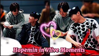 JihopeHopemin Vlive Moments  Underrated Hopemin [upl. by Onida301]