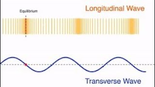 introduction of Transverse waves and Longitudinal waves [upl. by Durno]