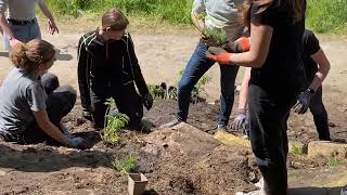 Projekt Klukkerthafen  Nachhaltig Natur erLEBEN Evangelisches Gymnasium Nordhorn [upl. by Saxet798]