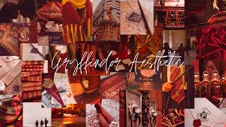 Gryffindor Aesthetic Clips For Edits [upl. by Fidelio]