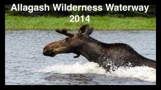 Allagash Wilderness Waterway 2014 [upl. by Ahsaten943]