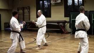 Shito Ryu Karate Lesson [upl. by Ahsimak]