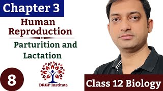 Parturition and Lactation  Human Reproduction  08  Class 12  CBSE  RBSE  NEET  NCERT [upl. by Brower77]