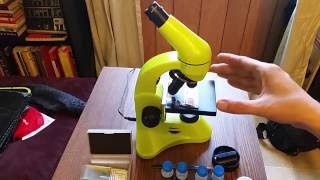 Levenhuk Rainbow 50L PLUS Microscope Video Review [upl. by Gnolb]